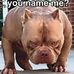 Profile Picture of Curtiss Thompson (@curtiss.thompson.904) on Facebook