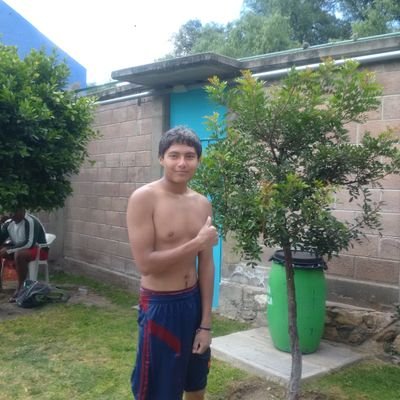 Profile Picture of Dann (@dAnYeLpAlMa) on Twitter