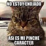 Juan Tacuri - Instagram Profile Picture of Juan Tacuri (@carlos.tacuri.7524) on Instagram