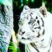 Profile Picture of Sukhdeep Chauhan (@sukhdeep.chauhan.125) on Facebook