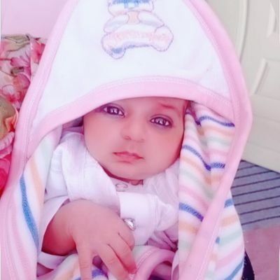 Profile Picture of 𝑺𝒉𝒂𝒉𝒛𝒂𝒅 𝑰𝒒𝒃𝒂𝒍 (@Shahzad_IQBALpk) on Twitter