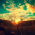 Profile Picture of Jacob Snell (@jacob_snell12) on Instagram