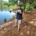 Profile Picture of Brad Crowley (@bradcrowley) on Instagram