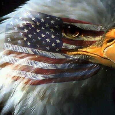 Ray Wenger - Twitter Profile Picture of Ray Wenger (@WengerRay) on Twitter