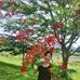 Profile Picture of Chien Quach (@chien.quach.129) on Facebook