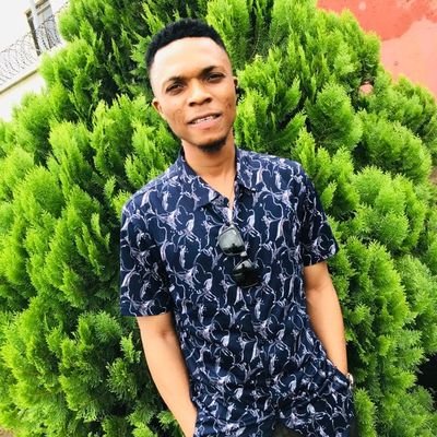 Profile Picture of David Martins (@martins_davison) on Twitter