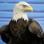 Profile Picture of Erik Sollenberger (@Erik-Sollenberger) on Facebook