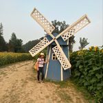 Profile Picture of Aileen Rombaoa-Capati (@rombaoacapati_aileen_) on Instagram