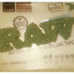 Profile Picture of Harley Schultz (@harley_puppets.music.box) on Instagram