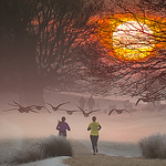 Profile Picture of Iesphotography (@iesphotography) on Flickr