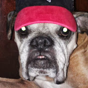 Profile Picture of Christopher Fowler (@cwf081166) on Youtube