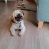 Profile Picture of Chris Mc (@@chrismc1008) on Tiktok