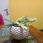 Profile Picture of Sandra Royes (@royessandra) on Instagram