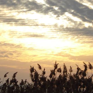 Profile Picture of Jasmine Bones (@jasmine.bones.92) on Facebook