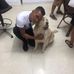Profile Picture of Angelo Ojeda (@angelo.ojeda.7165) on Facebook