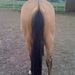 Profile Picture of Janey Phillips (@phillipsjaney) on Pinterest