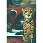 Profile Picture of ! (@hesko_770) on Instagram