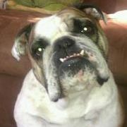 Profile Picture of Lisa Felker Brady (@sta4u63) on Pinterest