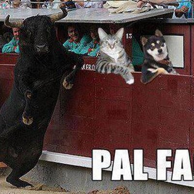 Profile Picture of BYRON SANTIAGO CHANG (@TIAGO_LDU_CR) on Twitter