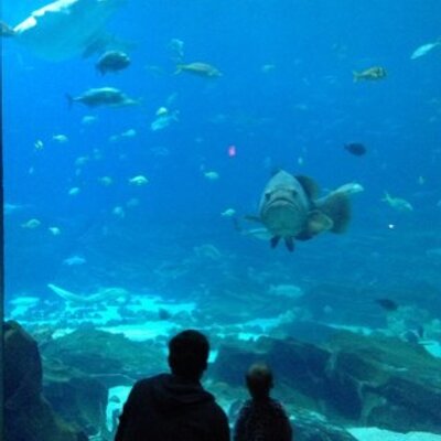 Profile Picture of Jim Wimsatt (@JamesWimsatt) on Twitter