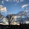 Profile Picture of Amry Bräuning (@@amry_b) on Tiktok