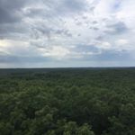 Profile Picture of John nold (@john_nold) on Instagram