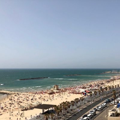 Profile Picture of Cest La Vie (@David_ben_Rabe) on Twitter