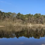 Profile Picture of Sylvia SteenbergenBraber (@sylvia.braber) on Facebook