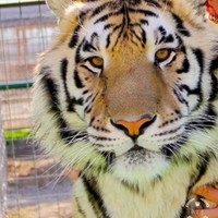 Profile Picture of Jacky Huang (@jacky-huang) on Quora