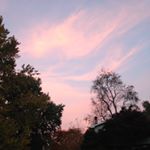 Profile Picture of wont accept 'less u have swag (@alexiswickertpriv) on Instagram