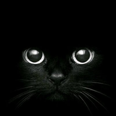 Profile Picture of Jean Forsyth (@jeanforsyth3) on Twitter