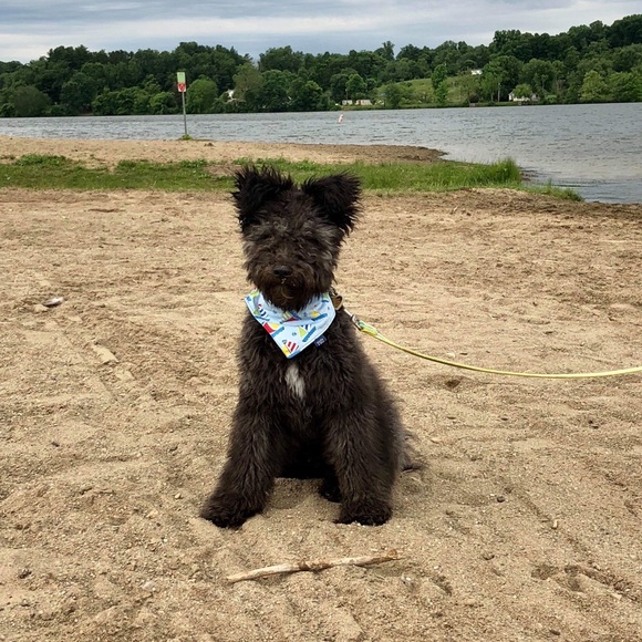 Profile Picture of Levia Phillips (@leviaphillips) on Poshmark