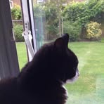 Profile Picture of Alex McKendrick (@alex.mckendrick.988) on Facebook