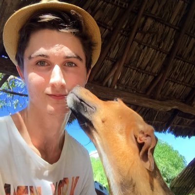 Profile Picture of Gabriel Poulin (@GabrielPoulin2) on Twitter