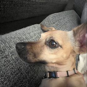 Profile Picture of Lola Leachman (@lola_leachman) on Pinterest