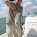 Profile Picture of Steven Hauck (@stevehauck) on Pinterest