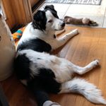 Profile Picture of Kyle Dowdy (@kyle_rowdy) on Instagram
