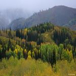 Profile Picture of Irina Lobacheva (@karmanovap8barbara) on Instagram