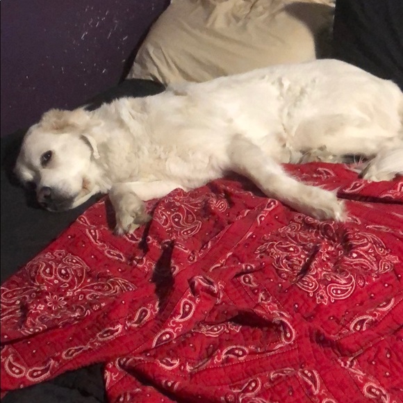 Profile Picture of Tanner Stewart (@cheeko705adub) on Poshmark