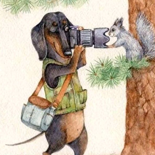 Profile Picture of Danis Daniel Granado (@danis.daniel.gran) on Tiktok