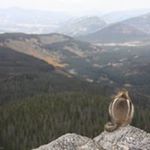 Profile Picture of Kimberly Hyde Clouser (@clouser.kimberly) on Instagram