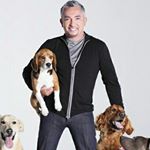 Profile Picture of César Felipe Millán Favela (@cesarmillanmx) on Instagram