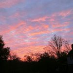 Profile Picture of 🍒✨👑💕 (@alyssaa.hodgson) on Instagram