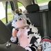 Profile Picture of Judith Bates Ashley (@judith.ashley.923) on Facebook