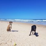 Profile Picture of Henry & Eddie (@henry.and.eddie) on Instagram