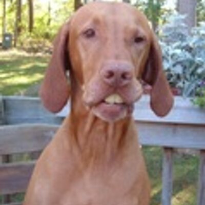 Profile Picture of Tania Campbell (@TaniaCampbell) on Twitter