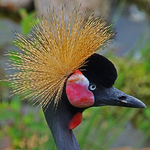 Profile Picture of Francisco Javier Gonzalez (@gonzalezfranciscojavier22) on Flickr