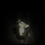 Profile Picture of Kirey Keylova Kaligis (@kirey.keylova.1) on Facebook