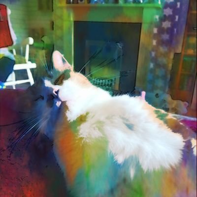 Profile Picture of George Watkinson (@SonictheCatz079) on Twitter