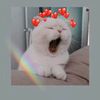 Profile Picture of Екатерина Блок (@@catherineblock) on Tiktok